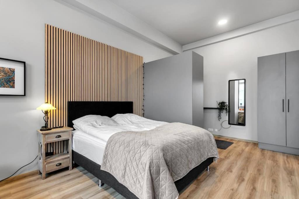 Charming Studio Apartment Рейкьявик Экстерьер фото